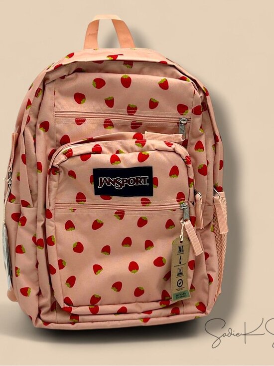 JanSport Big Student 17.5\
